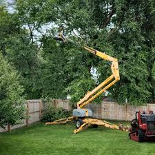 Best Lawn Irrigation Installation and Maintenance  in White House, TN