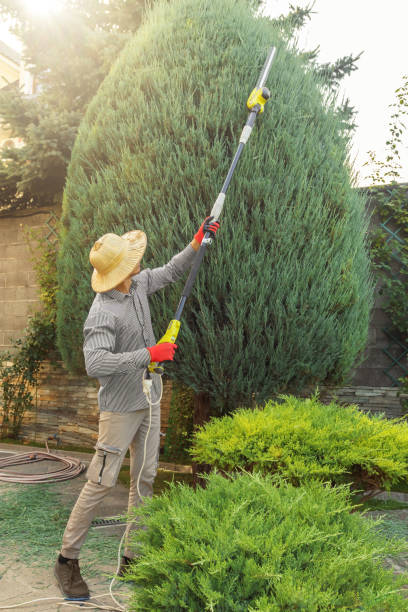 Best Commercial Tree Services  in White House, TN
